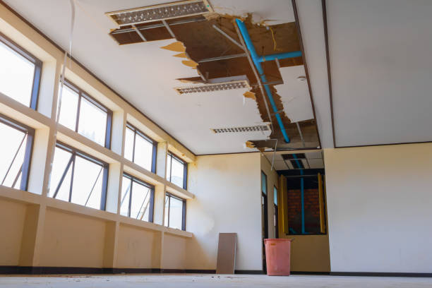 Best Local water damage restoration  in Annandale, MN