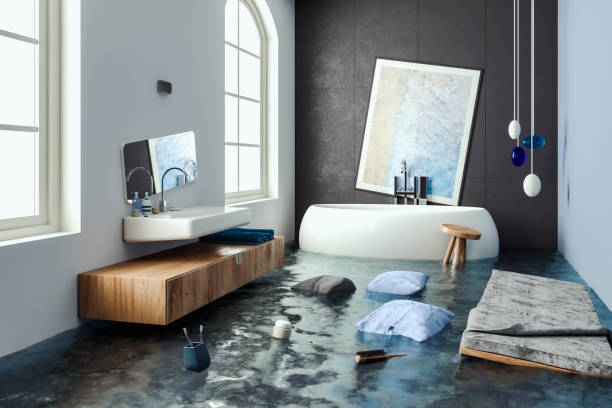 Best Water damage restoration mold remediation  in Annandale, MN