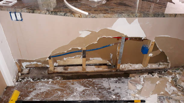 Best Emergency water damage restoration  in Annandale, MN