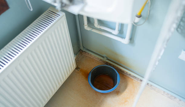 Best 24-hour water damage restoration  in Annandale, MN