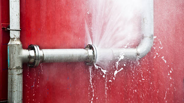 Best Residential water damage restoration  in Annandale, MN